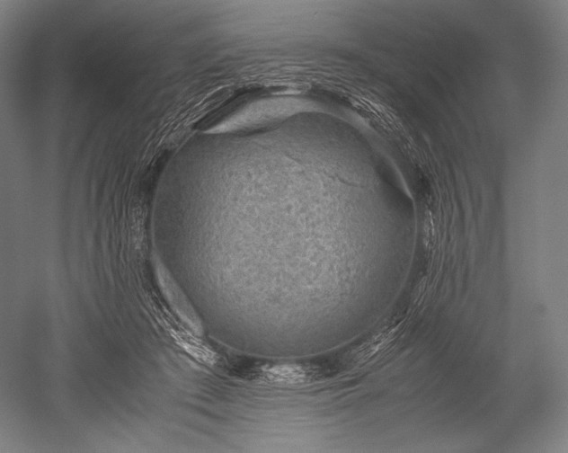 X0000052550409200507081614