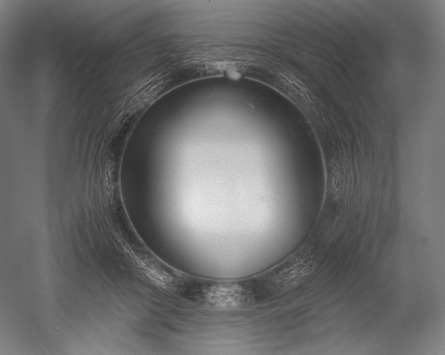 X0000052550410200507081614