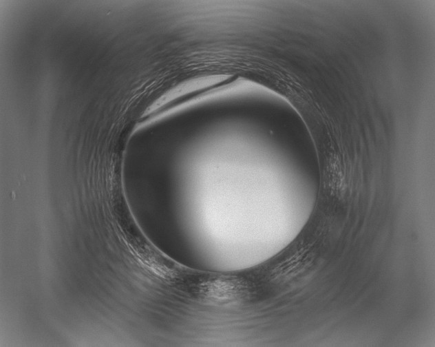 X0000052550412200507081614