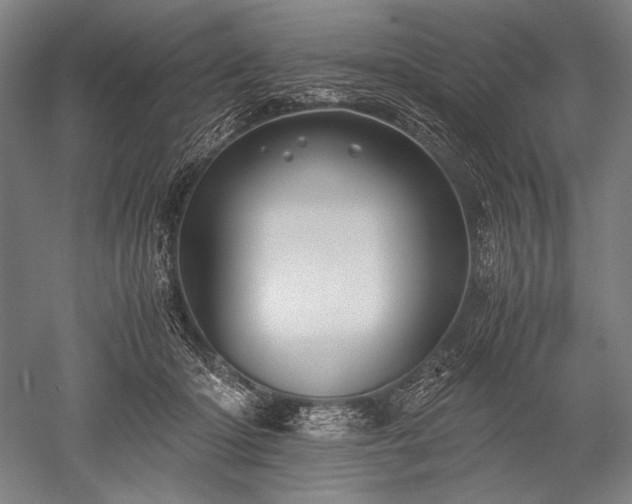 X0000052550414200507081614