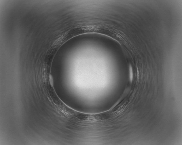 X0000052550416200507081614