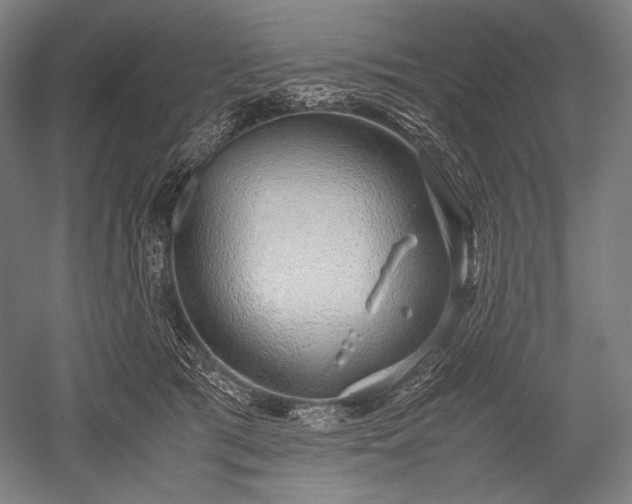 X0000052550417200507081614