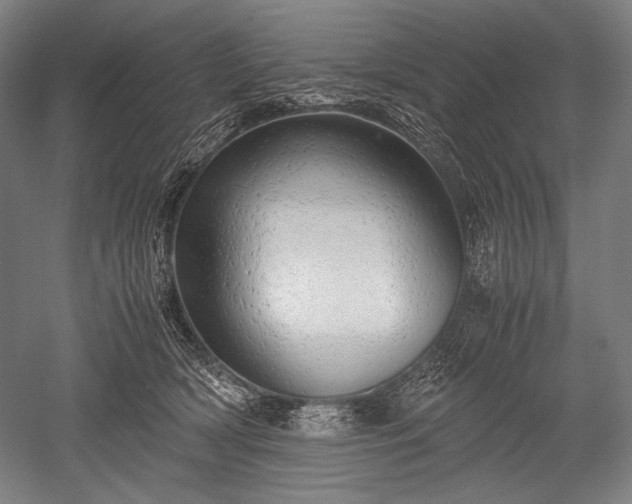 X0000052550418200507081614