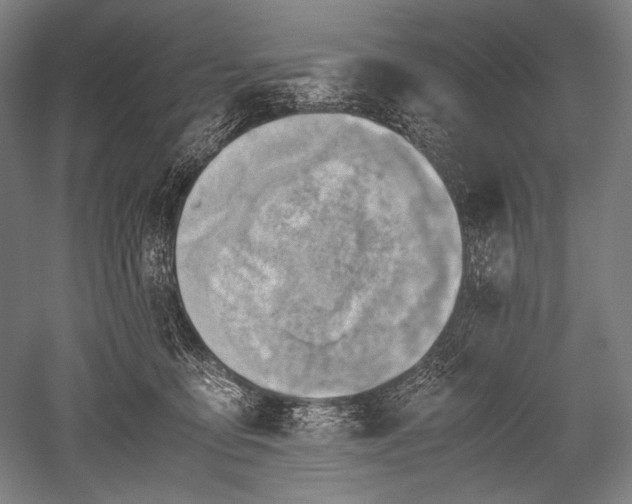 X0000052550419200507081614