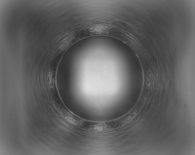 X0000052550420200507081614