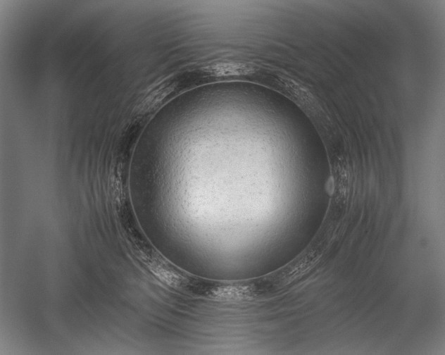 X0000052550422200507081614