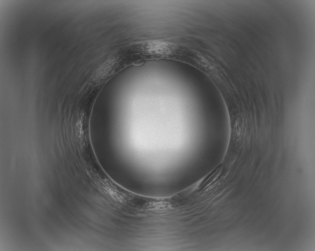 X0000052550424200507081614