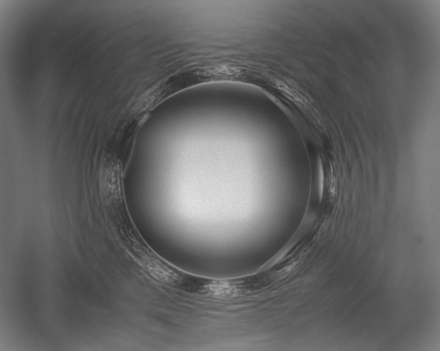 X0000052550425200507081614