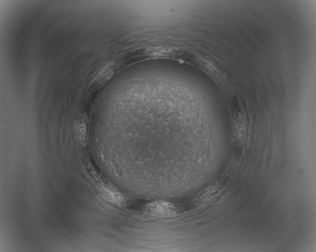 X0000052550427200507081614