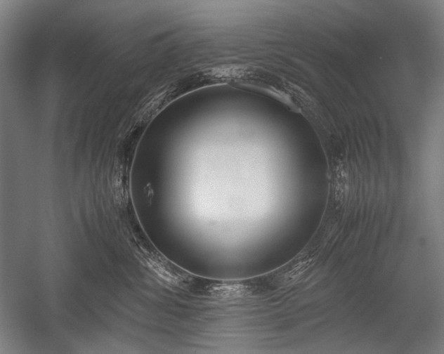 X0000052550428200507081614