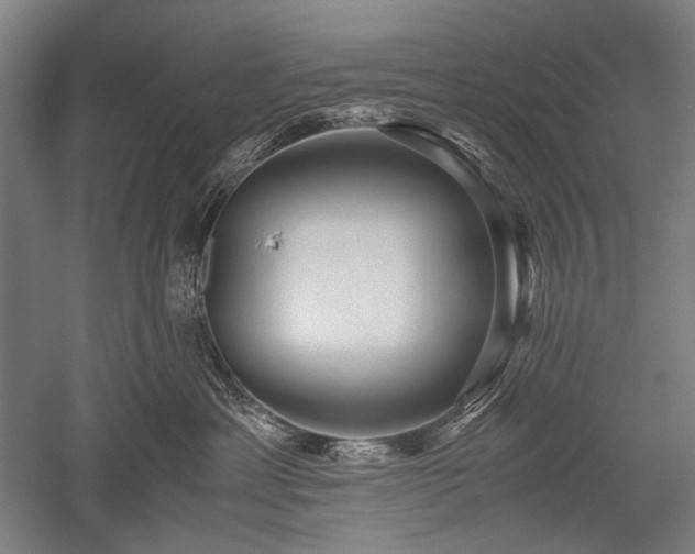 X0000052550429200507081614