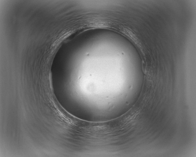 X0000052550433200507081613