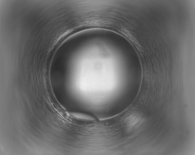 X0000052550434200507081613