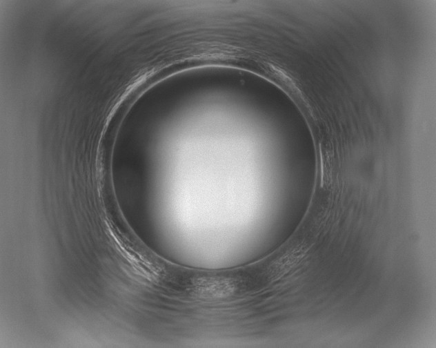 X0000052550435200507081613