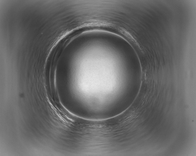 X0000052550436200507081613