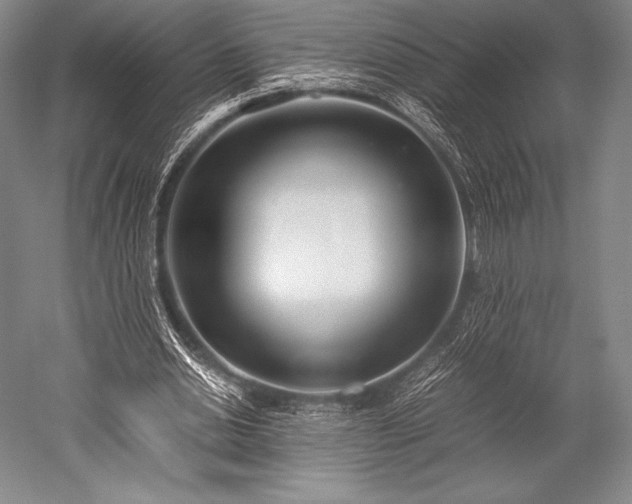 X0000052550438200507081613