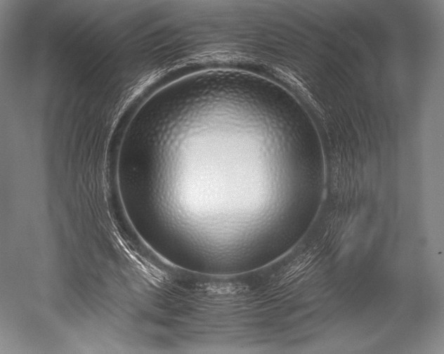 X0000052550439200507081613