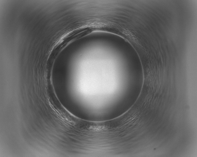 X0000052550440200507081613