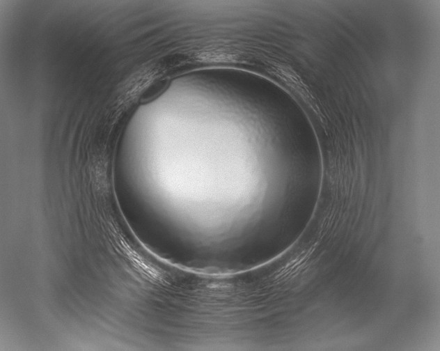 X0000052550441200507081613