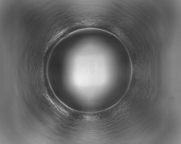 X0000052550442200507081613