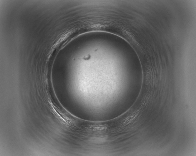 X0000052550443200507081613