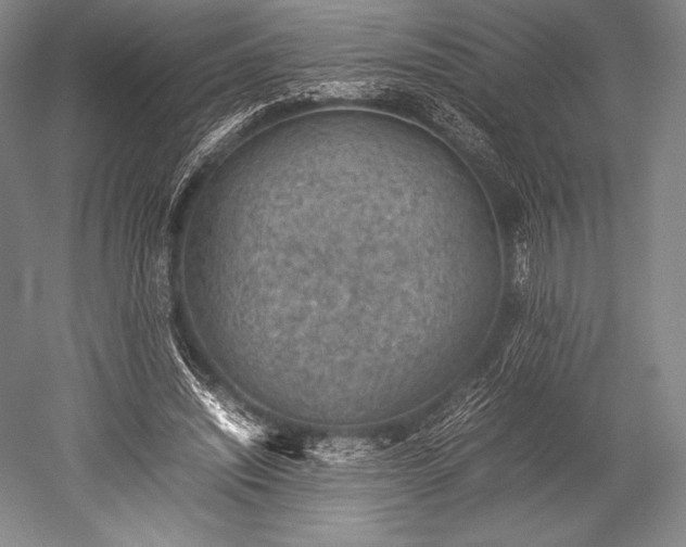 X0000052550444200507081613