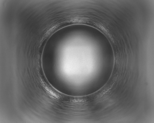 X0000052550445200507081613