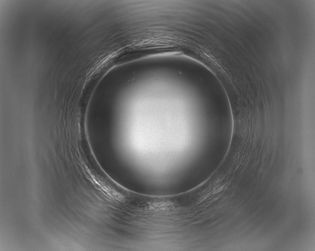 X0000052550446200507081613