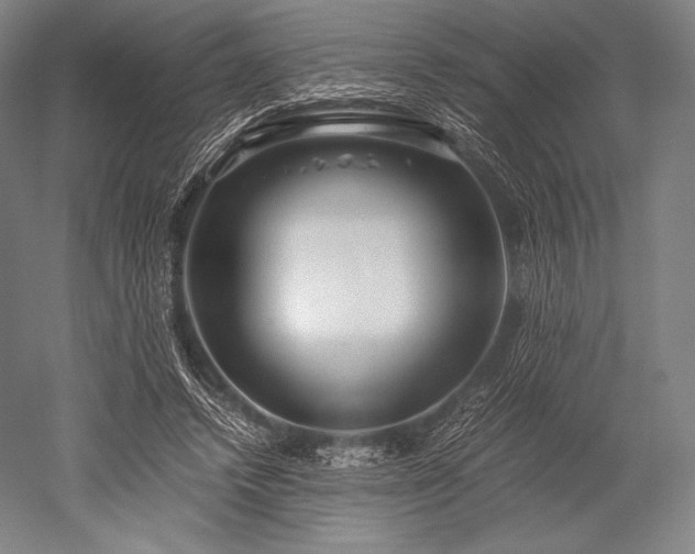 X0000052550448200507081614