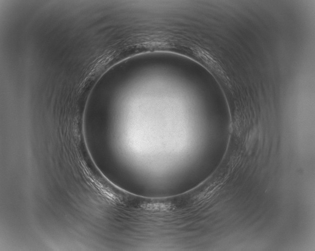 X0000052550449200507081614