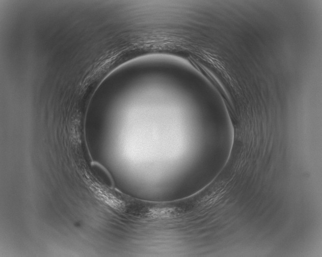 X0000052550450200507081614