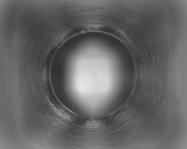 X0000052550451200507081614