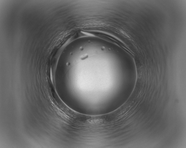 X0000052550452200507081614