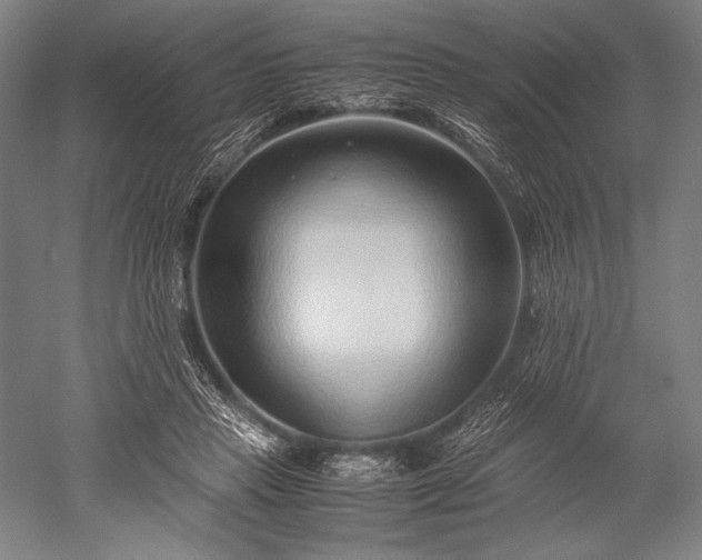 X0000052550453200507081614