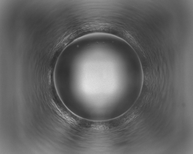 X0000052550454200507081614