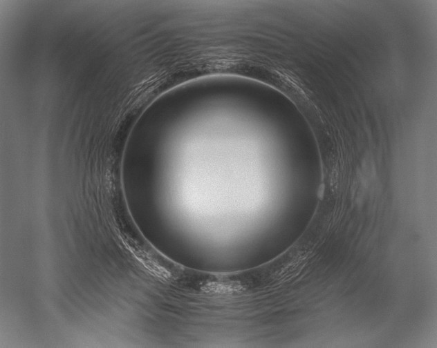 X0000052550455200507081614