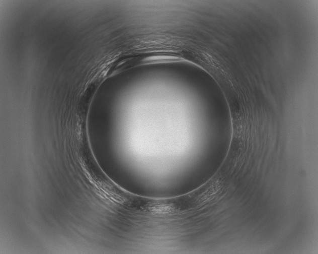 X0000052550456200507081614