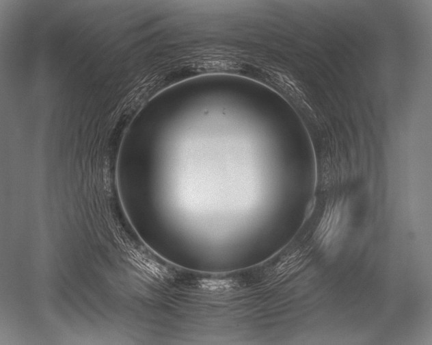 X0000052550457200507081614