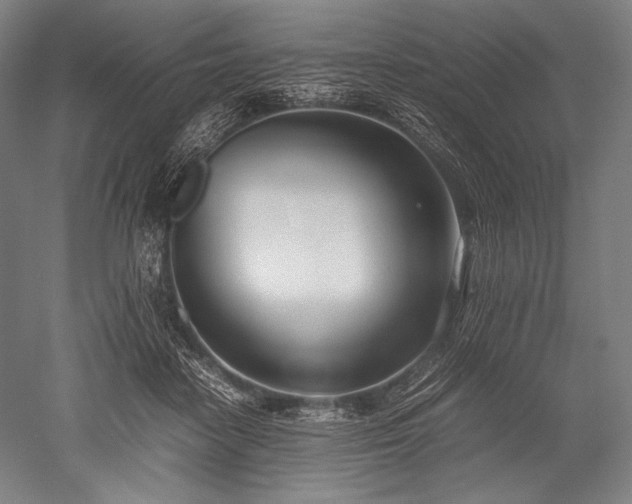 X0000052550458200507081614