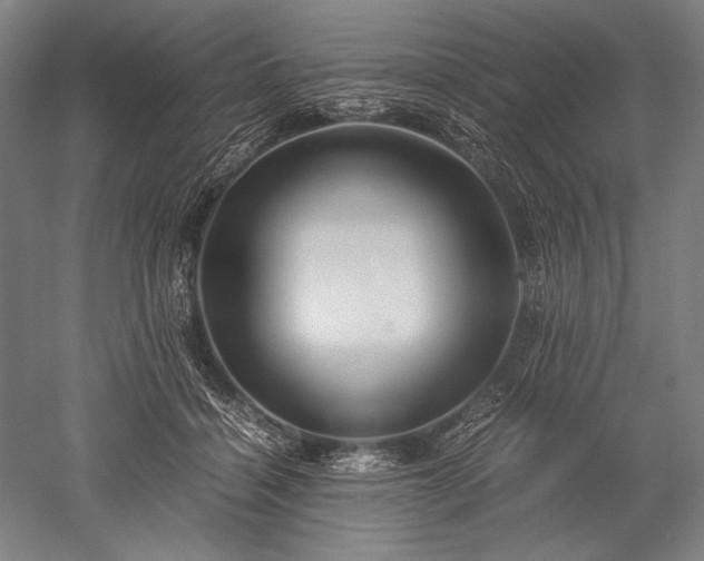 X0000052550460200507081614