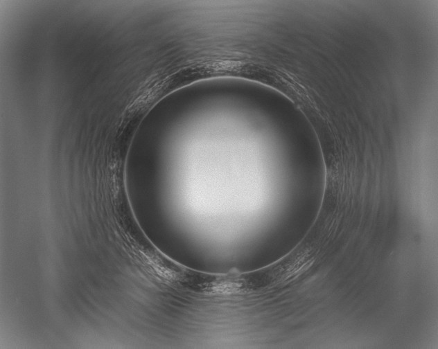 X0000052550462200507081614