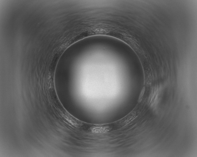 X0000052550465200507081614