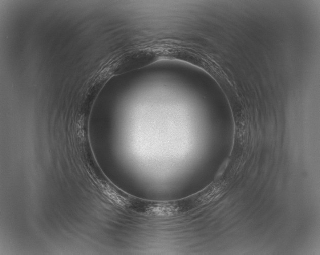 X0000052550466200507081614