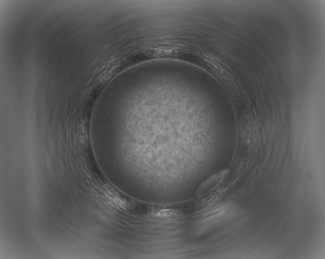 X0000052550467200507081614