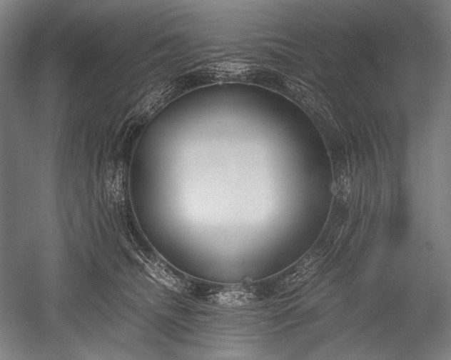 X0000052550468200507081614