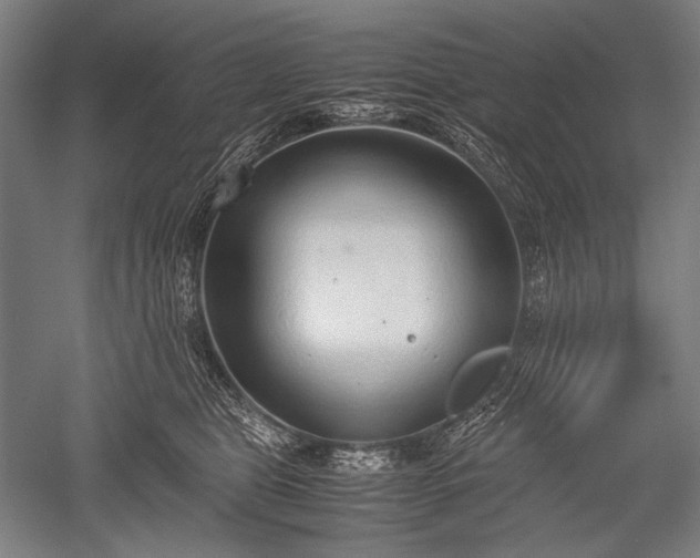 X0000052550469200507081614