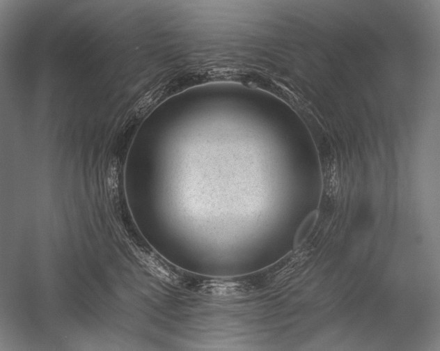 X0000052550472200507081614