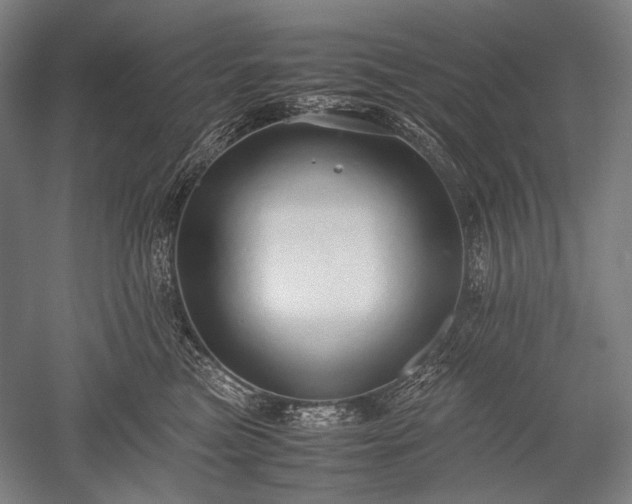 X0000052550473200507081614