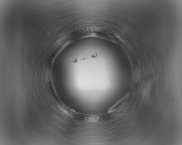 X0000052550474200507081614