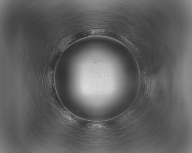 X0000052550475200507081614